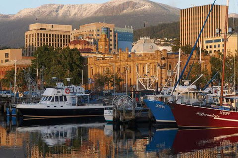 Essentially Hobart - Accommodation BNB 5