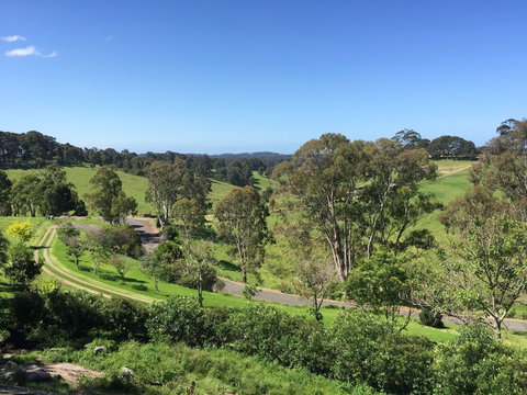 The Bryn At Tilba Family Cottage - Accommodation BNB 0