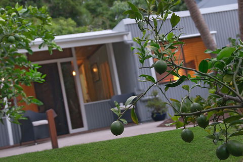 Gecko Shed - Accommodation BNB 6