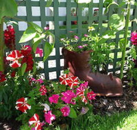 Albany Bayview Lodge YHA - Accommodation BNB