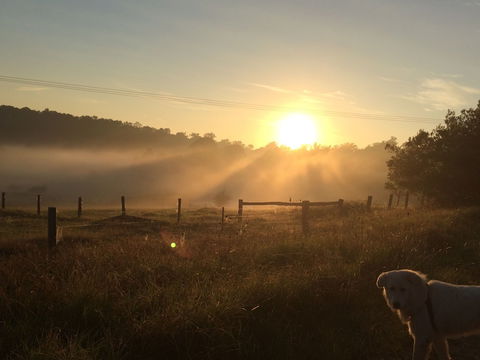 Bryn Glas Farm Stay - Accommodation BNB 2