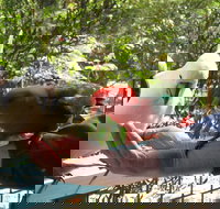 Lorne Bush House Cottages  Eco Retreats - Accommodation BNB