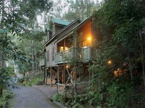 Barrington Wilderness Cedar Lodge Accommodation - Accommodation BNB 2