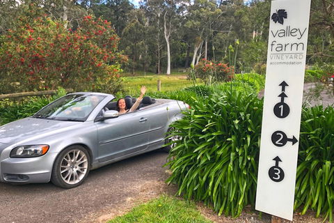 Valley Farm Vineyard Cottages - Accommodation BNB 0