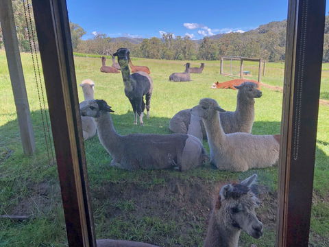 Valley Farm Vineyard Cottages - Accommodation BNB 2