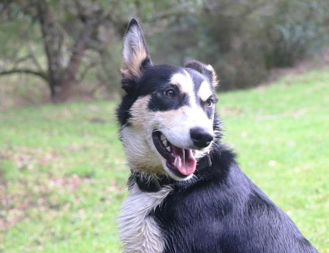 Johanna River Farm & Cottages - Accommodation BNB 4