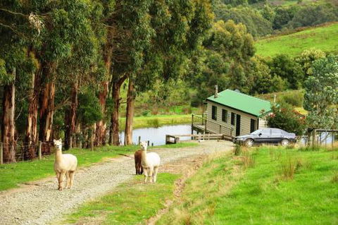 Johanna River Farm & Cottages - Accommodation BNB 5