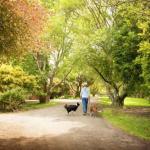Johanna River Farm & Cottages - Accommodation BNB 0