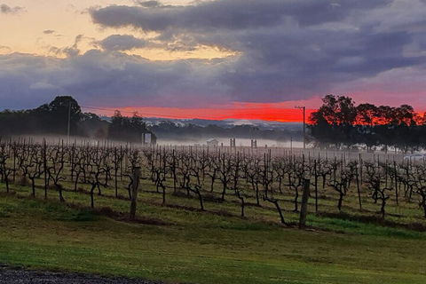 Adina Vineyard - Accommodation BNB 4
