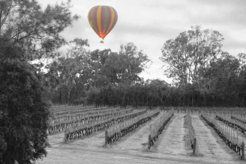 Adina Vineyard - Accommodation BNB 5