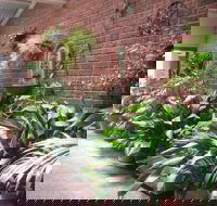 Edge of the Forest - Accommodation BNB