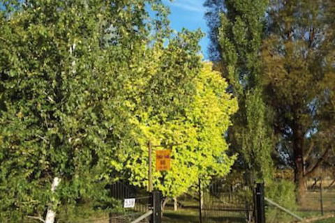 Ophir Gold Bed & Breakfast - Accommodation BNB 2