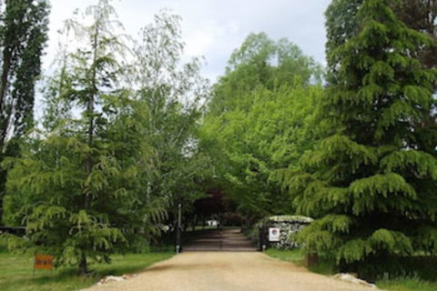 Ophir Gold Bed & Breakfast - Accommodation BNB 0