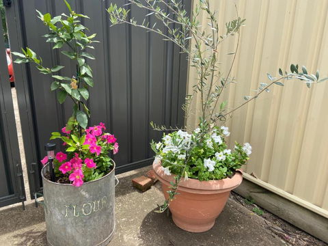Bendigo Backpackers - Accommodation BNB 2