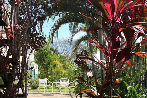 Asylum Cairns Hostel - Accommodation BNB 3