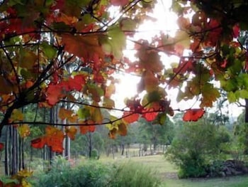 Elfin Hill Country Accommodation - Accommodation BNB 0