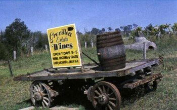 Bega Village Motor Inn - Accommodation BNB 0