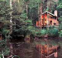 Woodlands Rainforest Retreat - Accommodation BNB