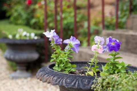 Bellerive House - Accommodation BNB 1