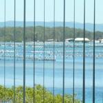 Montgomery Apartments - Accommodation BNB 1
