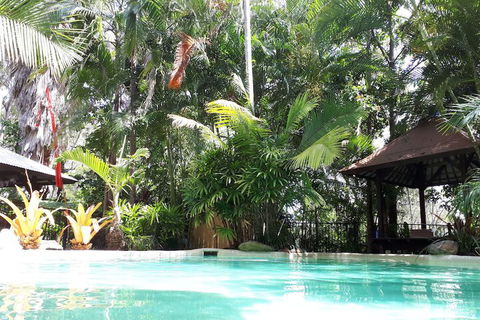 Alaya Escape - Accommodation BNB 5