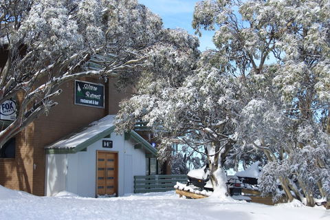 Alpine Retreat Mt Buller - Accommodation BNB 1