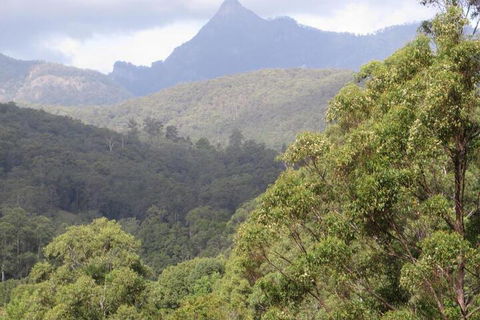 Babbling Brook Retreat - Accommodation BNB 7