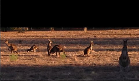 Busselton Guest House - Accommodation BNB 3