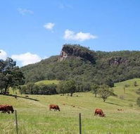 Rosevale House - Accommodation BNB