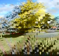 Bairnsdale Main Motel - Accommodation BNB