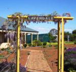Lavendale Farmstay  Cottages York - Accommodation BNB