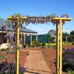 Lavendale Farmstay & Cottages York - Accommodation BNB 0