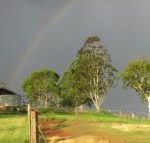 CBR Equine Cottage - Accommodation BNB