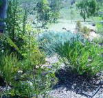 Old Miners Cottages Bed  Breakfast - Accommodation BNB