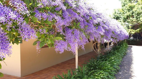 Bendles Cottages And Country Villas - Accommodation BNB 4