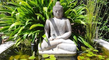 Vatu Sanctuary - Accommodation BNB 4