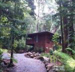 Black Palm Cape Tribulation - Accommodation BNB