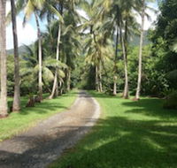 Cape Trib Farmstay - Accommodation BNB