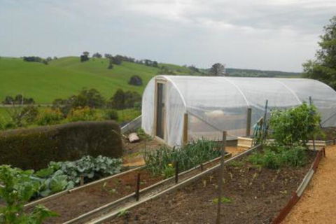 Emerald Hills Cottage - Accommodation BNB 7