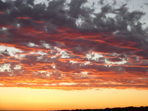 On The Deck @ Shark Bay - Accommodation BNB 6