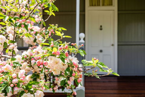 Apple Blossom Cottage - Accommodation BNB 0