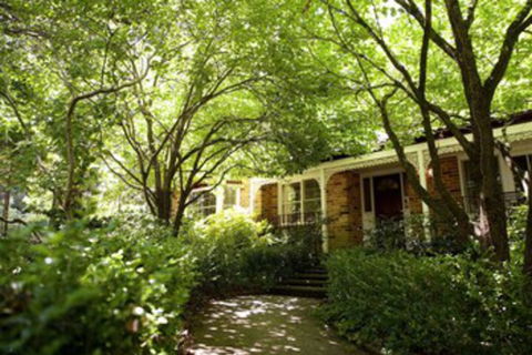 Leura Camellias - Accommodation BNB 0