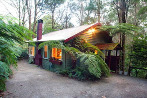 A Cottage In The Forest - Accommodation BNB 0