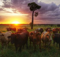 Myella Farm Stay - Accommodation BNB