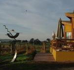 Art at Linden Gate - Accommodation BNB
