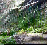 Lemonade Creek Cottages - Accommodation BNB