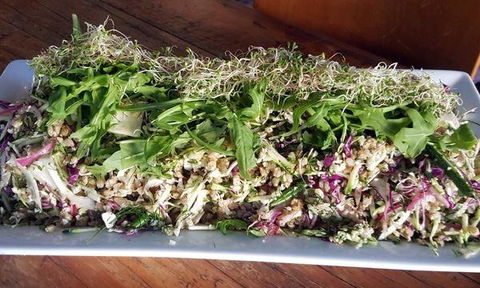 Top Pub Bistro - Accommodation BNB 4