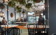 Rex Espresso - thumb 0