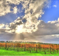 Max's at Red Hill Estate - Accommodation BNB