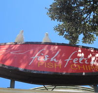 Fish Fetish - Accommodation BNB